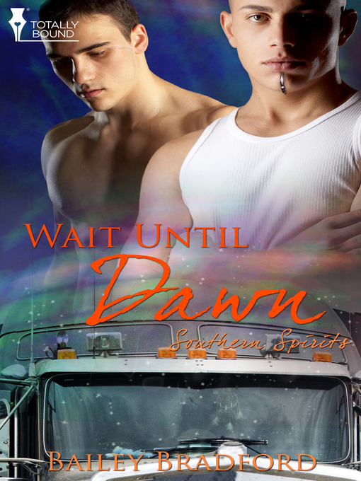 Cover image for Wait Until Dawn